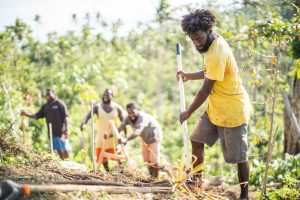 People gardening